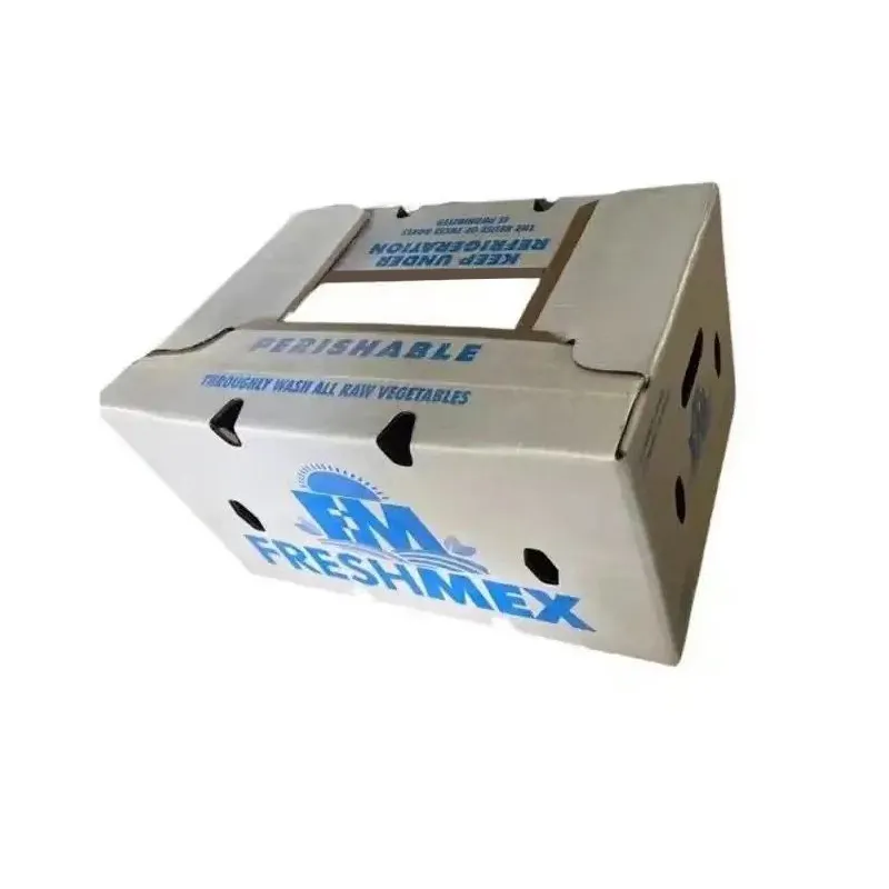 지속 가능한 포장 솔루션을 위해 생분해성 왁스 종이 상자를 선택하는 이유는 무엇입니까?